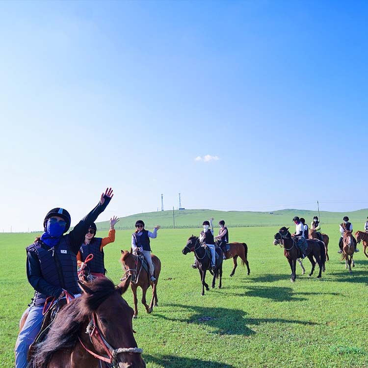 حالة تدريب ركوب الخيل